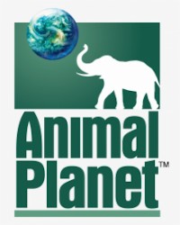 407-4073536_dream-logos-wiki-logo-de-animal-planet-hd61850221eb894